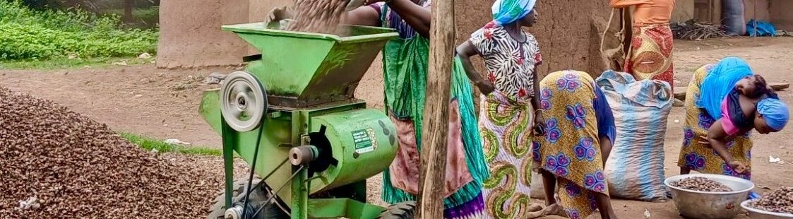 From hands to machines: How shea mechanization has transformed women’s lives in northern Ghana